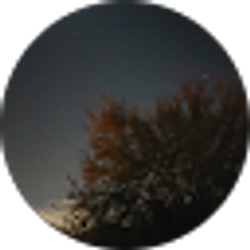 Profile photo of Genesis