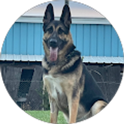 Profile photo of Miguel Mendoza