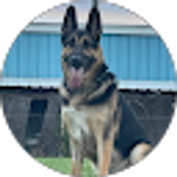 Profile photo of Miguel Mendoza