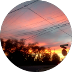 Profile photo of niya brunner