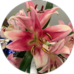 Profile photo of Karen Lyons