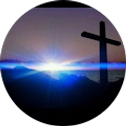 Profile photo of J M