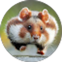 Profile photo of Thai Tran