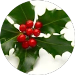 Profile photo of Barbara Dolny-Bombar