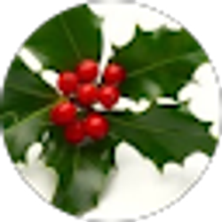 Profile photo of Barbara Dolny-Bombar