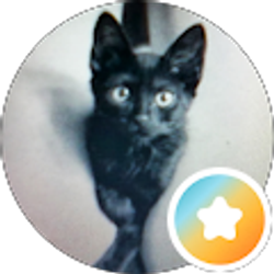 Profile photo of S Dubb