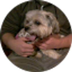 Profile photo of Leticia Ramirez