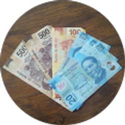 Profile photo of David Romero