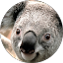 Profile photo of K Lander