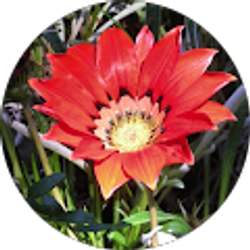 Profile photo of bnichols618