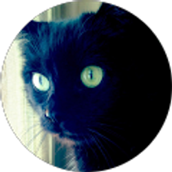 Profile photo of Kyla Ritter