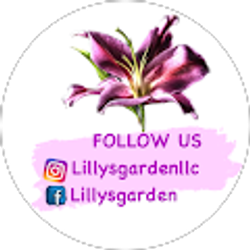 Profile photo of Lillys Garden LLC