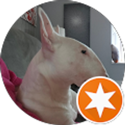 Profile photo of Cindie