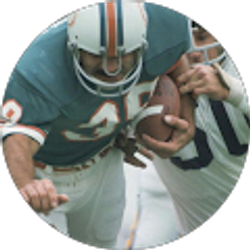 Profile photo of Dwayne Hawaii Chief