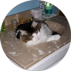 Profile photo of Darlene Smith