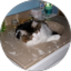 Profile photo of Darlene Smith