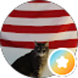 Profile photo of Mitchell M
