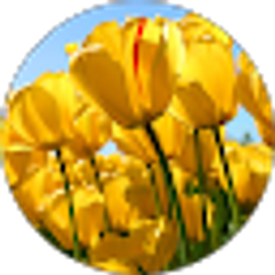 Profile photo of Kristen Kieren Lang