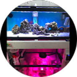 Profile photo of BLVCK XVII