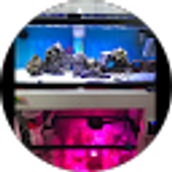 Profile photo of BLVCK XVII