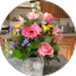 Profile photo of Petra Nolte