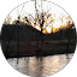 Profile photo of Michael Pyle