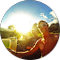 Profile photo of Sail Schechter