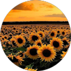 Profile photo of Abigail__vlogss2