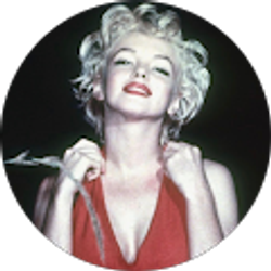 Profile photo of Savage Industries Inc