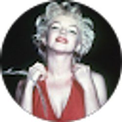 Profile photo of Savage Industries Inc