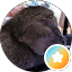 Profile photo of Jim Oliver