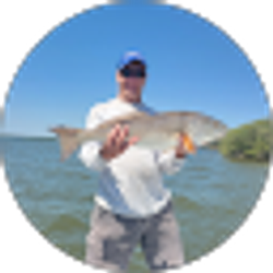 Profile photo of David Dawson