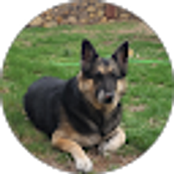 Profile photo of Preston Derden