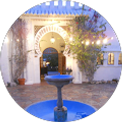 Profile photo of t4 pf