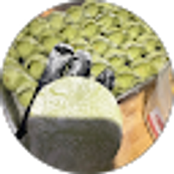 Profile photo of Susie Hu