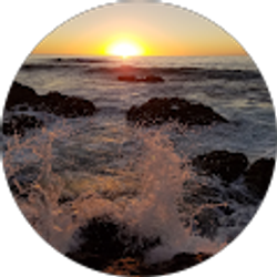 Profile photo of Chelsea Klein