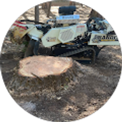 Profile photo of Ben Lewis