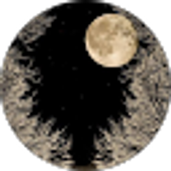 Profile photo of Devin Leggans
