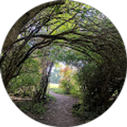 Profile photo of Annette Miller