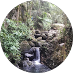 Profile photo of victor art.