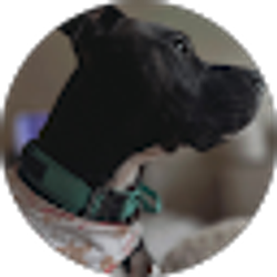 Profile photo of Abbi H