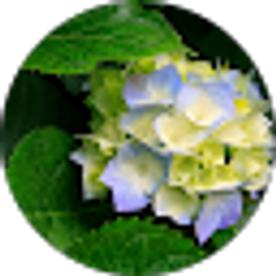 Profile photo of Takevia King