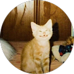 Profile photo of Riley Dinneen
