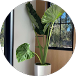 Profile photo of luxxaeri