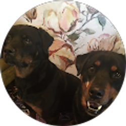 Profile photo of Beth Golden