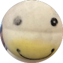 Profile photo of lily b