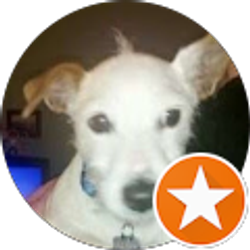 Profile photo of Perky