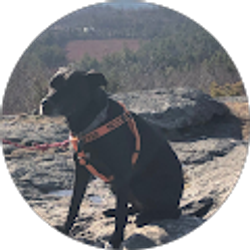 Profile photo of Chris Dupont