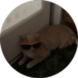 Profile photo of Jessi Matt