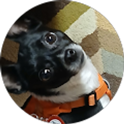 Profile photo of Judy Duncan